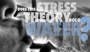 Water Is the Most Natural Body Requirement But, Can It Be What Is Stressing You Out?